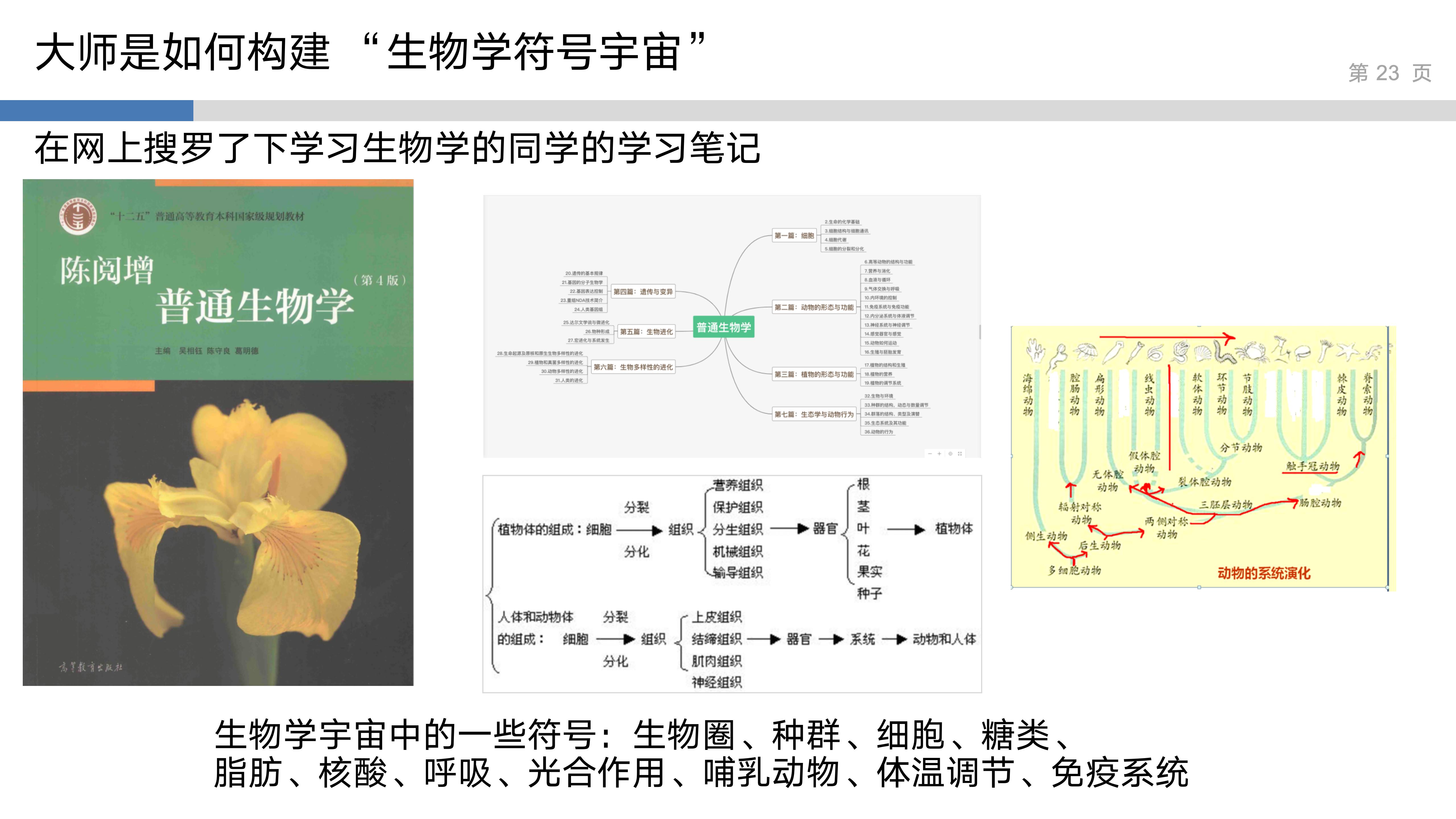 产品思维实验室_2_系统性思维_23.jpg